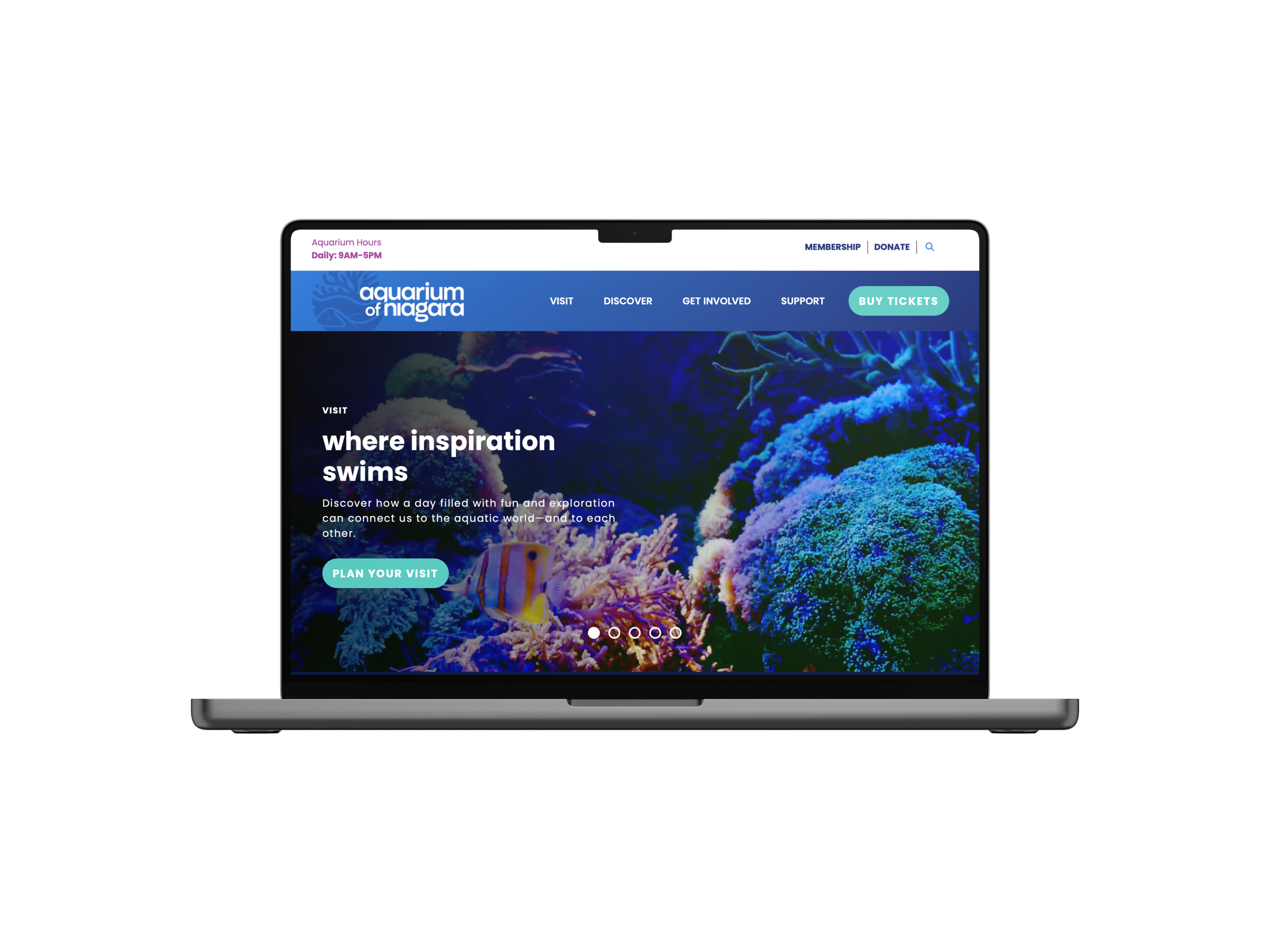 laptop_website_mock